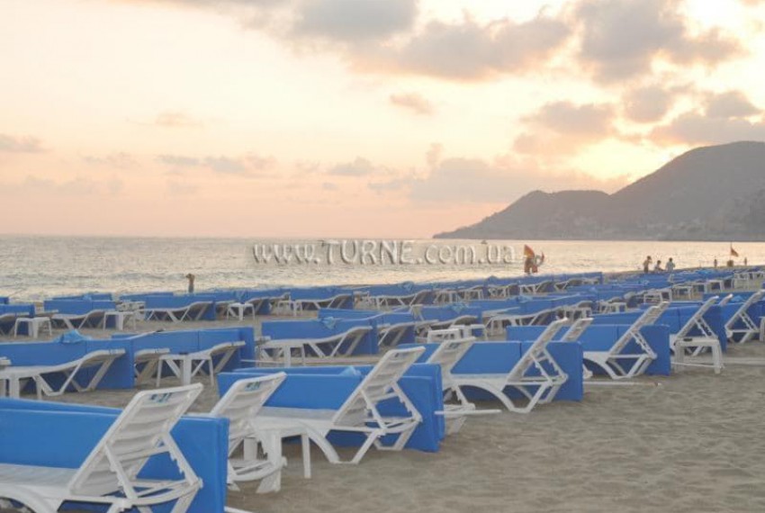 Lonicera City, 3* Lonicera City, 3*