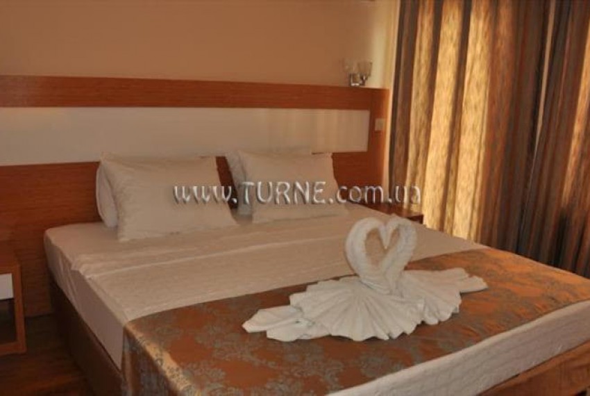 Lonicera City, 3* Lonicera City, 3*
