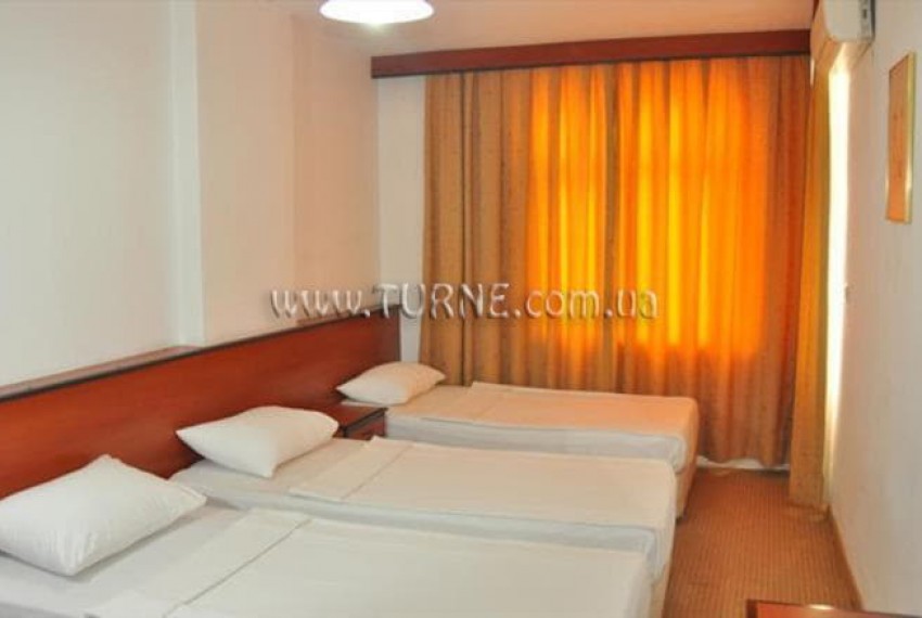 Lonicera City, 3* Lonicera City, 3*