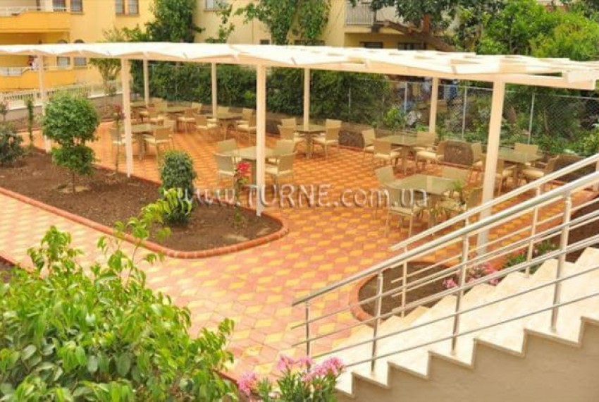 Lonicera City, 3* Lonicera City, 3*