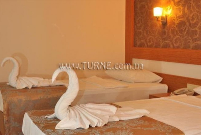 Lonicera City, 3* Lonicera City, 3*
