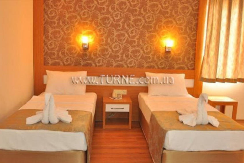 Lonicera City, 3* Lonicera City, 3*