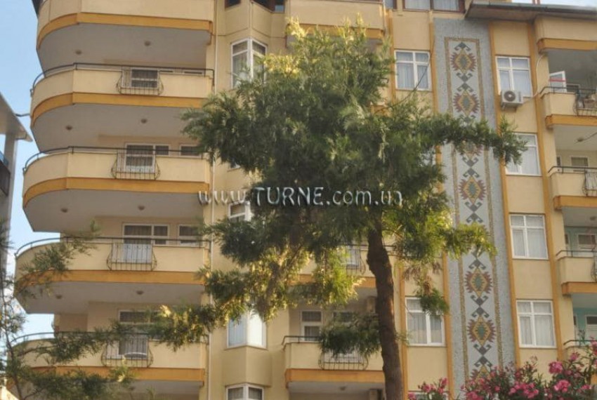 Lonicera City, 3* Lonicera City, 3*