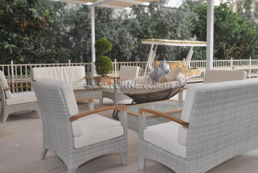 Lonicera City, 3* Lonicera City, 3*