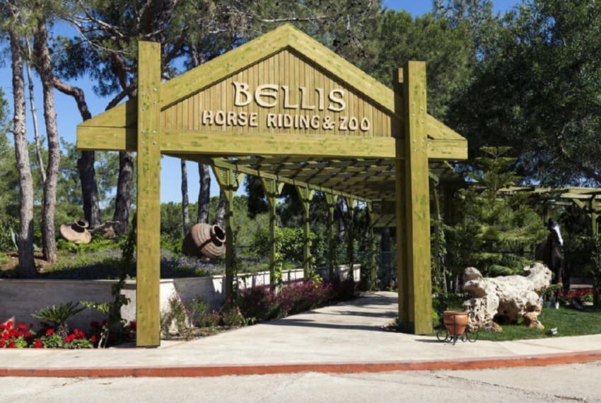 Bellis Deluxe Hotel (ex. Iberostar Bellis Hotel), 5* Bellis Deluxe Hotel (ex. Iberostar Bellis Hotel), 5*