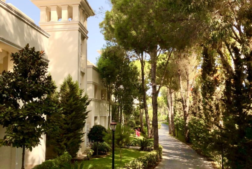 Bellis Deluxe Hotel (ex. Iberostar Bellis Hotel), 5* Bellis Deluxe Hotel (ex. Iberostar Bellis Hotel), 5*