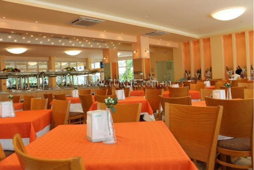 Wella, 4* Wella, 4*