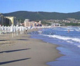 Wella, 4*