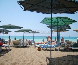 River Park Hotel, 3*