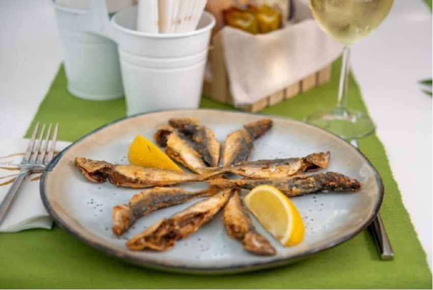 Festa Pomorie, 4* Festa Pomorie, 4*