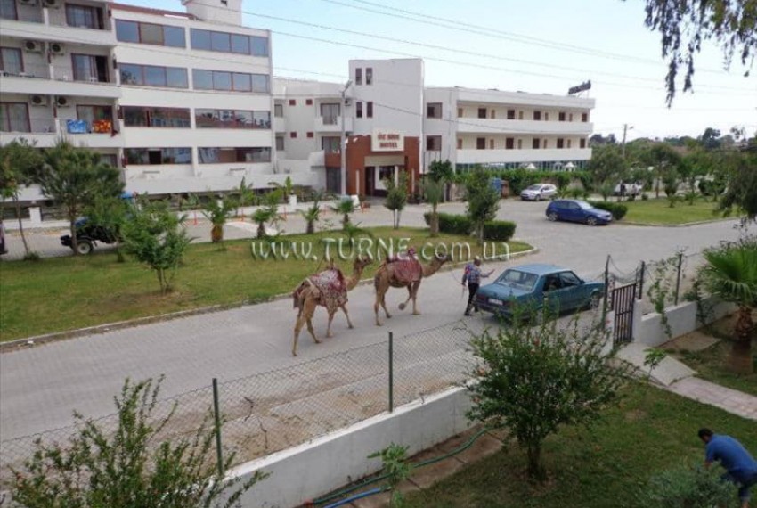 Anthos Garden, 3* Anthos Garden, 3*