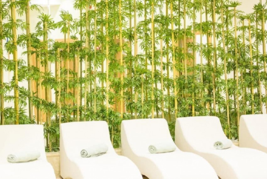 Club Hotel Falcon, 4* Club Hotel Falcon, 4*