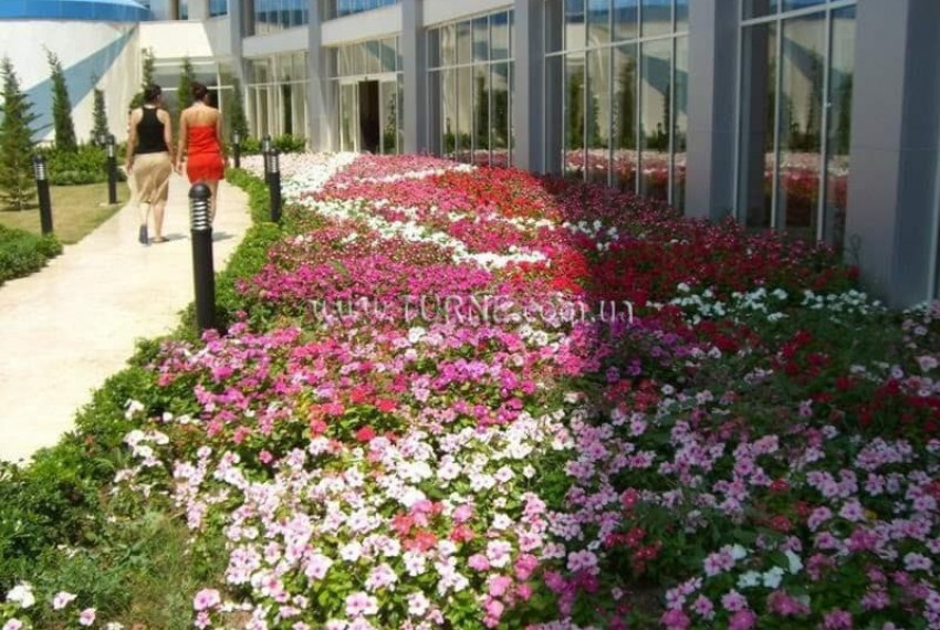 Buyuk Anadolu Didim Resort, 5* Buyuk Anadolu Didim Resort, 5*