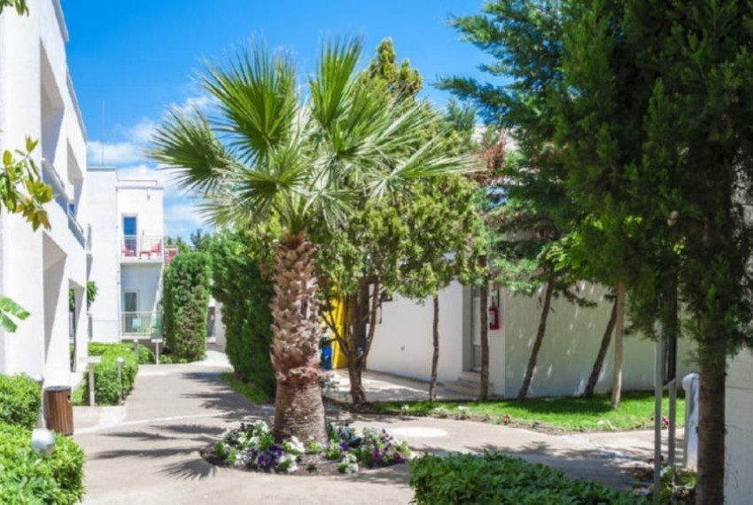 Armonia Holiday Village & SPA, 5* Armonia Holiday Village & SPA, 5*