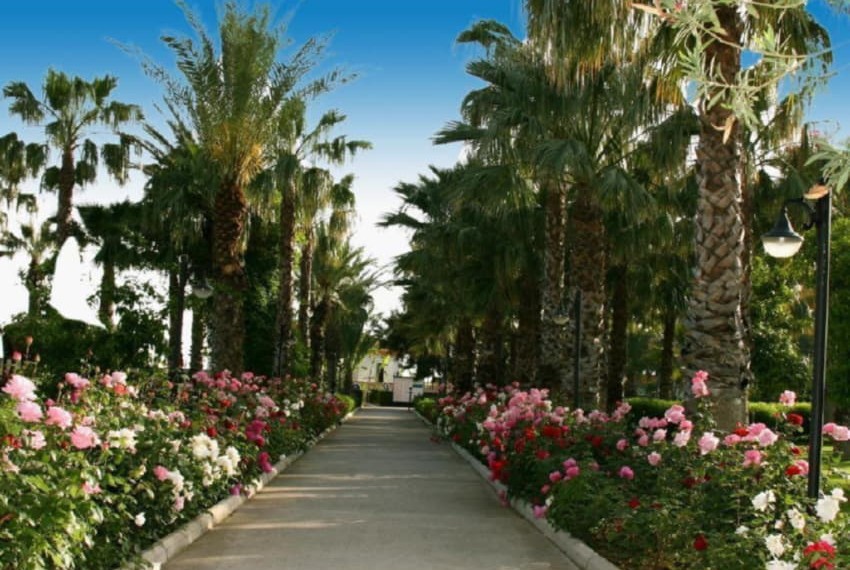 Adora Resort Hotel, 5* Adora Resort Hotel, 5*