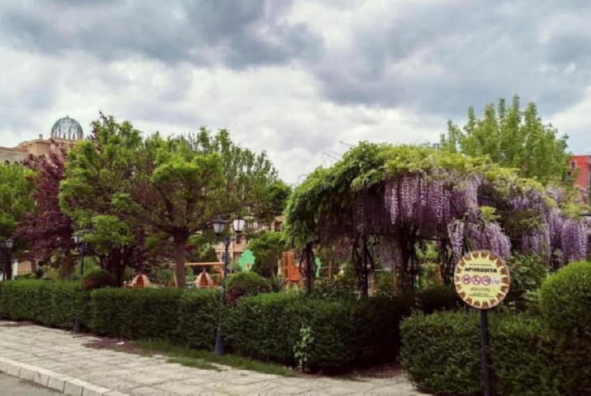 Apart Hotel Summer Dreams, 3* Apart Hotel Summer Dreams, 3*