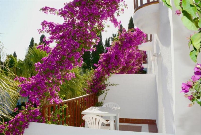 Natur Garden Hotel, 3* Natur Garden Hotel, 3*
