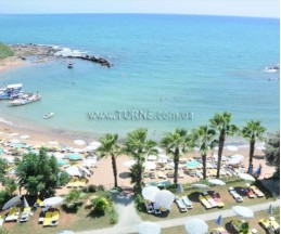 Lonicera Kosdere, 4*