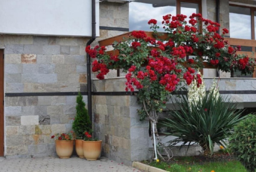Festa Gardenia Hils, 3* Festa Gardenia Hils, 3*