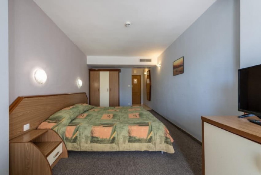 Hrizantema, 4* Hrizantema, 4*