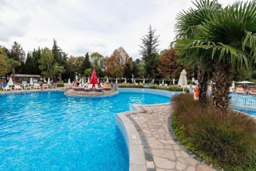 Hrizantema, 4* Hrizantema, 4*
