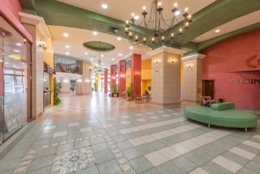 Hrizantema, 4* Hrizantema, 4*