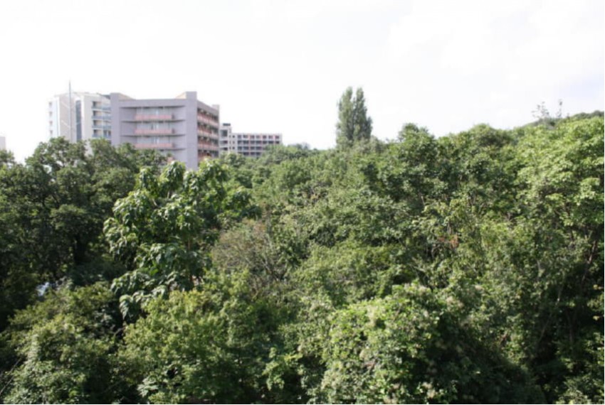 Sunny Varshava, 3* Sunny Varshava, 3*