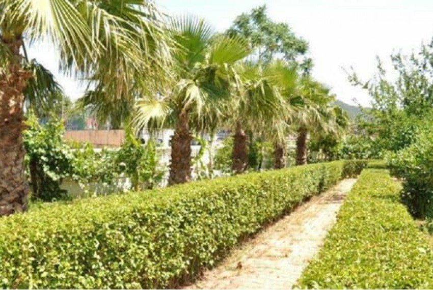 Adalin Resort, 4* Adalin Resort, 4*