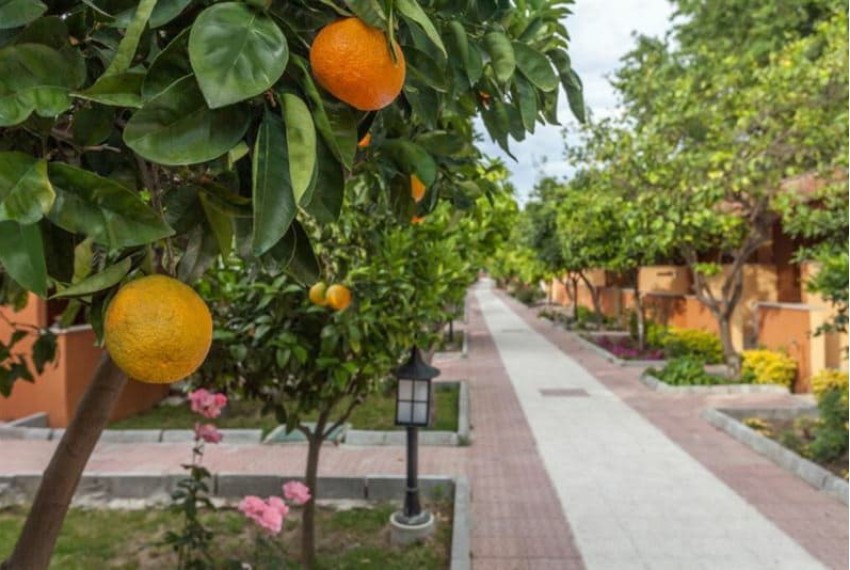 Ozlem Garden Hotel, 3* Ozlem Garden Hotel, 3*