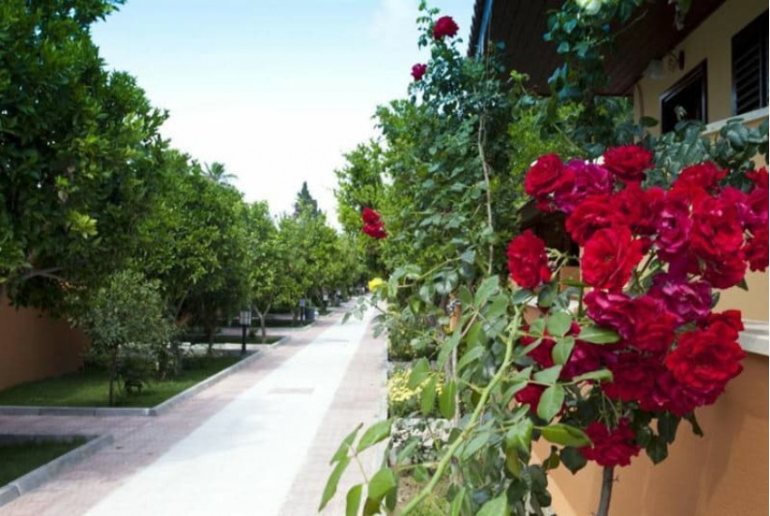 Ozlem Garden Hotel, 3* Ozlem Garden Hotel, 3*