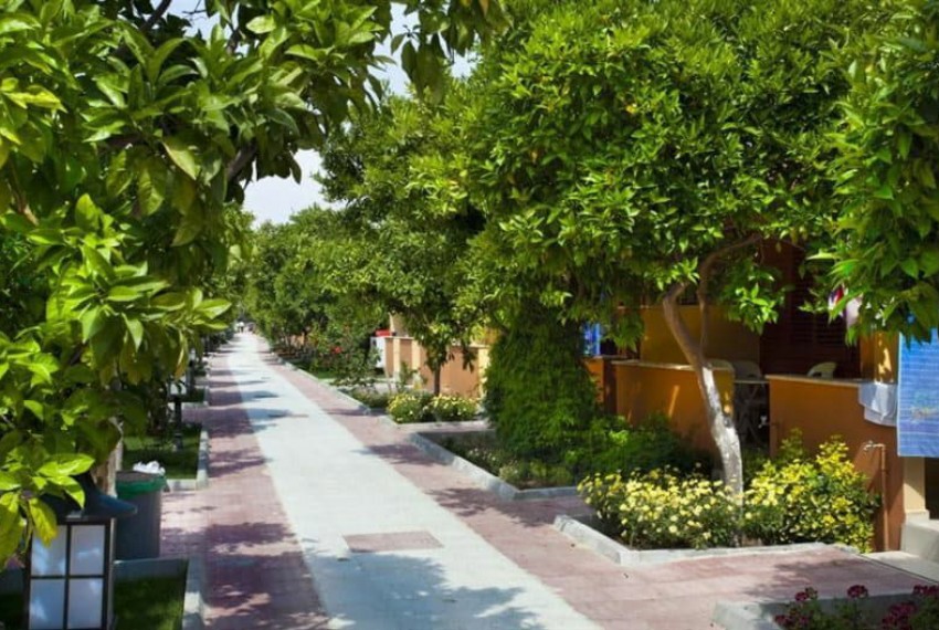 Ozlem Garden Hotel, 3* Ozlem Garden Hotel, 3*