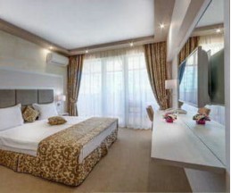 Siena Palace, 3*