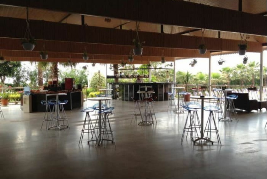Royal Ideal Beach Hotel, 4* Royal Ideal Beach Hotel, 4*