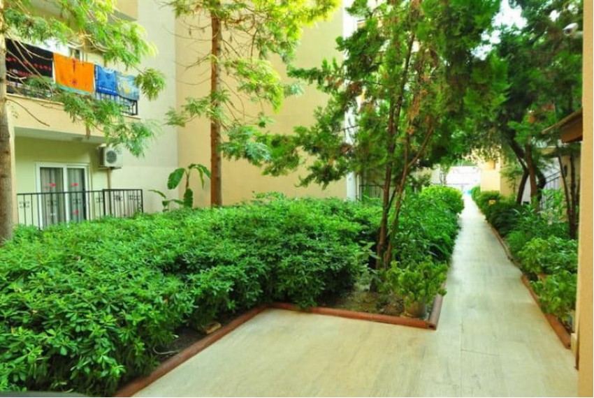 Dynasty Hotel, 3* Dynasty Hotel, 3*