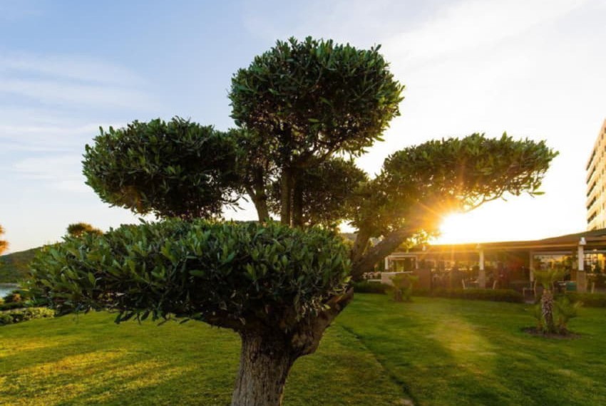 La Blanche Island Bodrum (ex. Amara Island), 5* La Blanche Island Bodrum (ex. Amara Island), 5*
