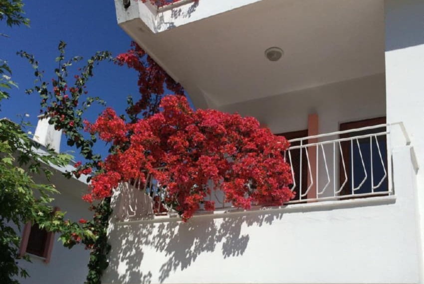Flower Hotel, 3* Flower Hotel, 3*