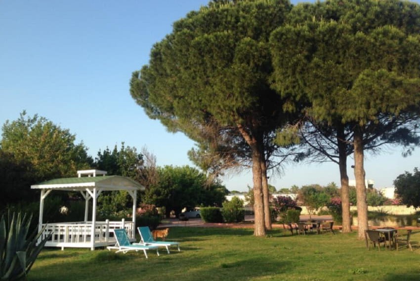 Holiday Inn Lara, 4* Holiday Inn Lara, 4*