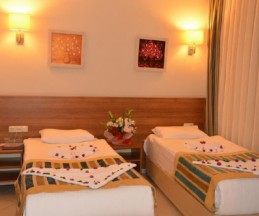 Viking Apart Hotel, 3*