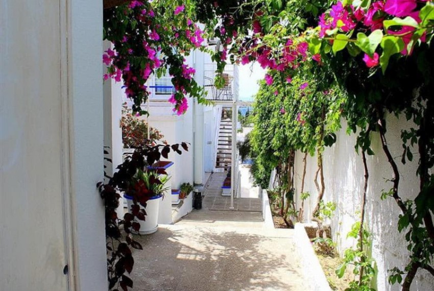 Sky Nova Hotel (ex. Bodrum Nova Suites), 4* Sky Nova Hotel (ex. Bodrum Nova Suites), 4*