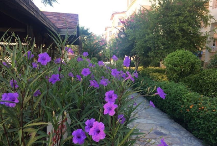 Side Village Hotel, 4* Side Village Hotel, 4*