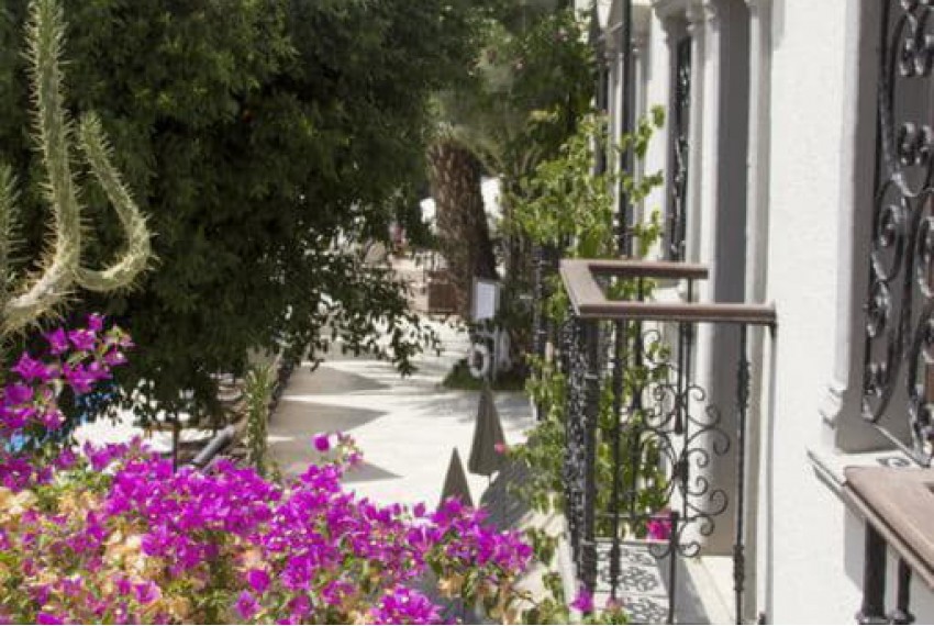 Marina Vista Hotel, 4* Marina Vista Hotel, 4*