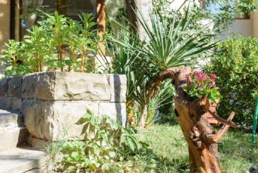 Oasis Park Hotel, 3* Oasis Park Hotel, 3*