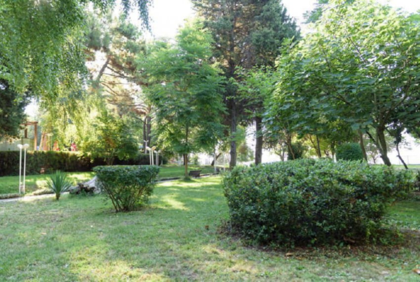 Oasis Park Hotel, 3* Oasis Park Hotel, 3*