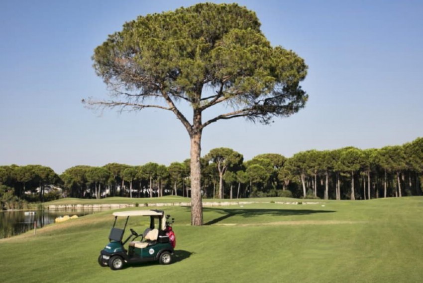 Maxx Royal Belek Golf Resort (ex. Maxx Royal Belek Golf Spa), 5* Maxx Royal Belek Golf Resort (ex. Maxx Royal Belek Golf Spa), 5*