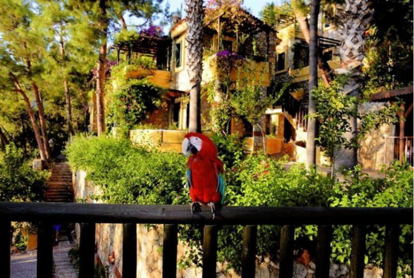 Symbola Oludeniz Beach Hotel, 3* Symbola Oludeniz Beach Hotel, 3*