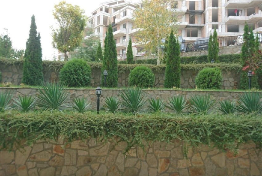 Royal Palm, 3* Royal Palm, 3*