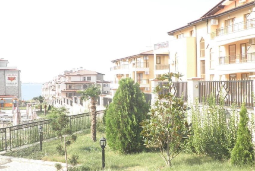 Royal Palm, 3* Royal Palm, 3*