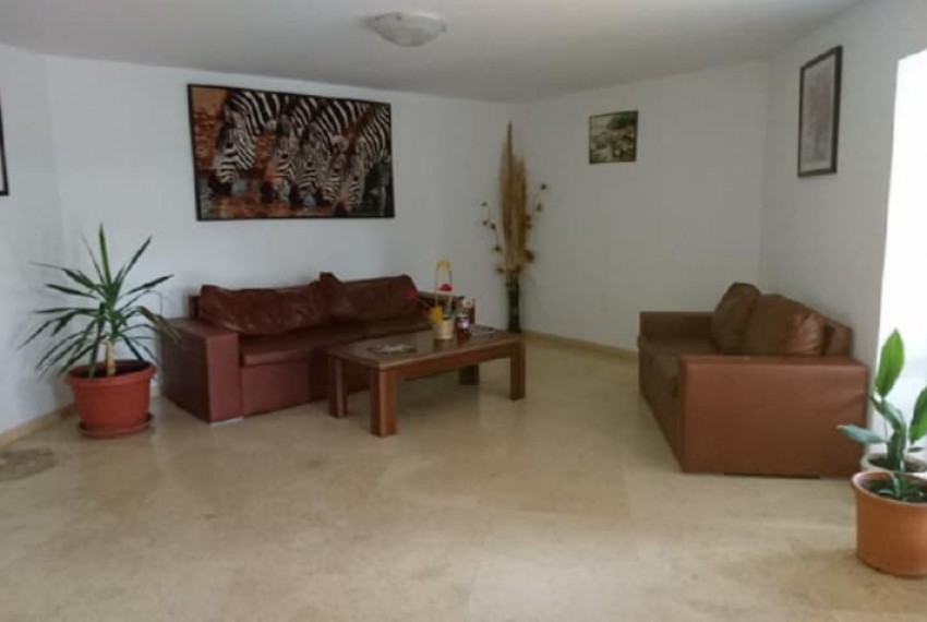 Royal Palm, 3* Royal Palm, 3*