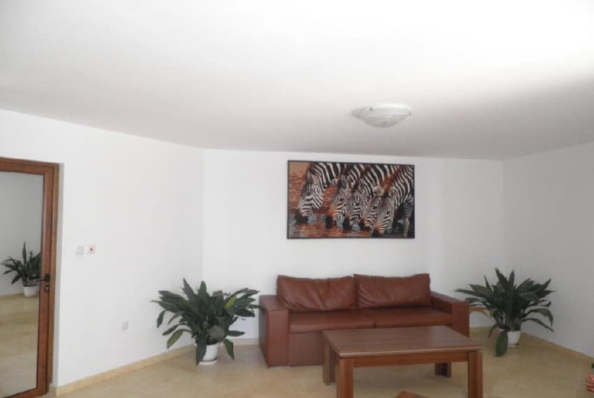 Royal Palm, 3* Royal Palm, 3*