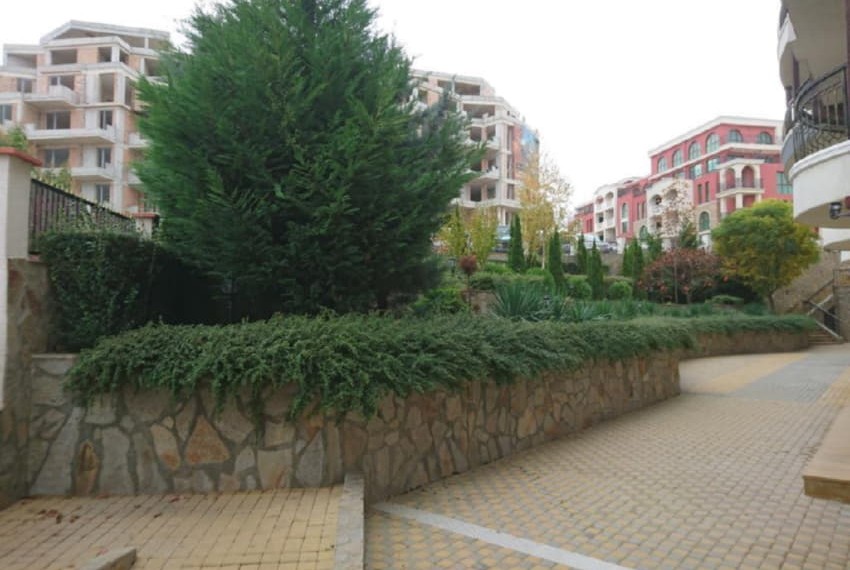 Royal Palm, 3* Royal Palm, 3*